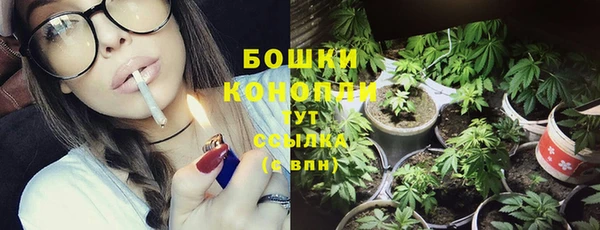 a pvp Аркадак