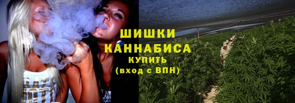 a pvp Аркадак